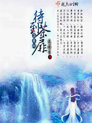 茶待故人
