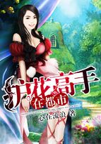 护花高手在都市 护花高手在都市