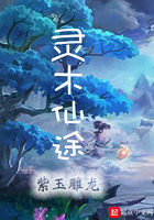 灵木仙途路 灵木仙途路