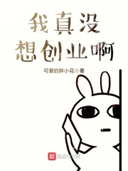 我真没想创业啊 我真没想创业啊