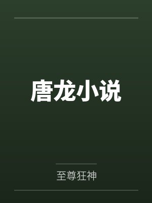 唐龙小说