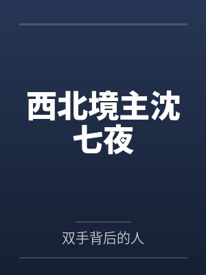 西北境主沈七夜