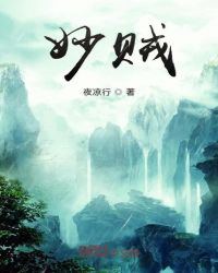 妙贼丁小勾续集全文阅读