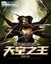 海贼世界的天空之王 海贼世界的天空之王