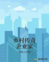 乡村传奇企业家 乡村传奇企业家
