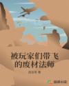 被玩家们带飞的废材法师 被玩家们带飞的废材法师