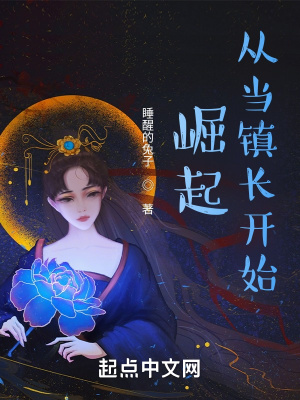 崛起从当镇长开始 崛起从当镇长开始