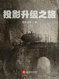 投影升级之旅陈安 投影升级之旅陈安