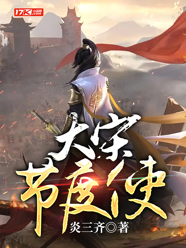 大宋节度使 大宋节度使
