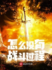怎么没有战斗过程 怎么没有战斗过程