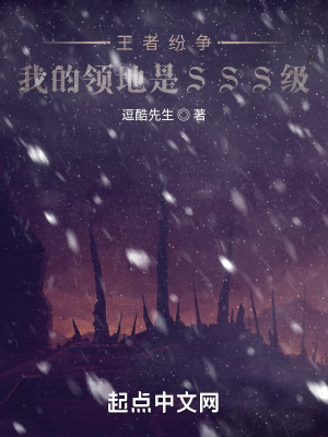 王者纷争:我的领地是SSS级 王者纷争:我的领地是SSS级
