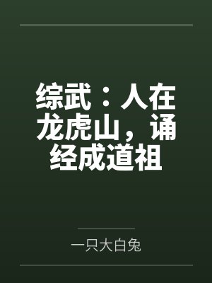 综武：人在龙虎山，诵经成道祖