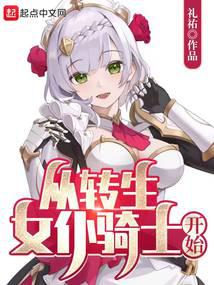 转生成为女仆后的异世界生活小说