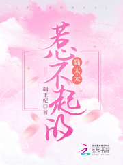 惹不起的陆太太 惹不起的陆太太