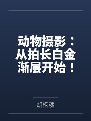 动物摄影：从拍长白金渐层开始！