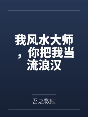 我风水大师,你把我当流浪汉 我风水大师,你把我当流浪汉
