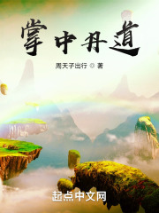 掌中丹道 掌中丹道