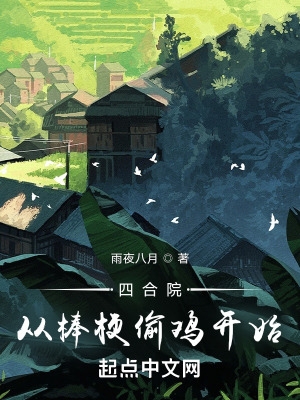 四合院从棒梗偷鸡开始 四合院从棒梗偷鸡开始