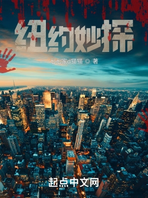 纽约妙探 纽约妙探