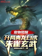 宠物觉醒:开局青龙白虎朱雀玄武 宠物觉醒:开局青龙白虎朱雀玄武