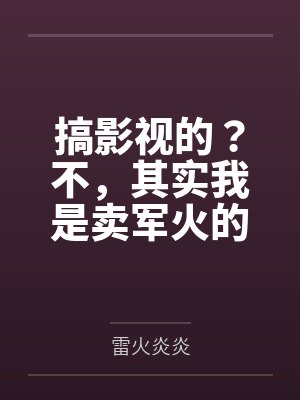 搞影视的?不,其实我是卖军火的 搞影视的?不,其实我是卖军火的