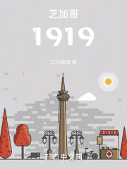 芝加哥1919 芝加哥1919