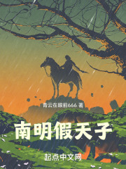南明假天子 南明假天子