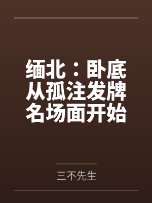 缅北:卧底从孤注发牌名场面开始 缅北:卧底从孤注发牌名场面开始