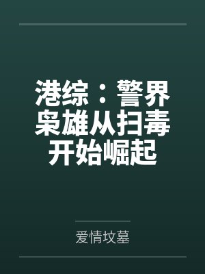 港综：警界枭雄从扫毒开始崛起