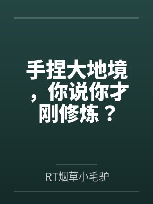 手捏大地境，你说你才刚修炼？