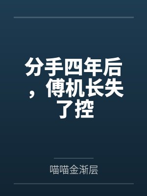 分手四年后，傅机长失了控