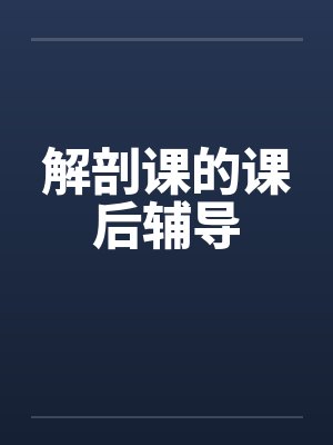 解剖课的课后辅导