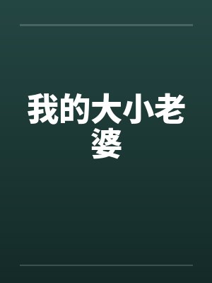 我的大小老婆 我的大小老婆
