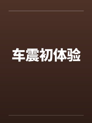 车震初体验