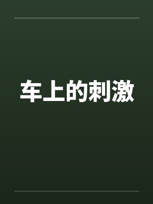 车上的刺激 车上的刺激