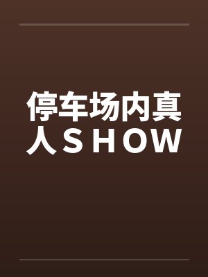 停车场内真人SHOW 停车场内真人SHOW