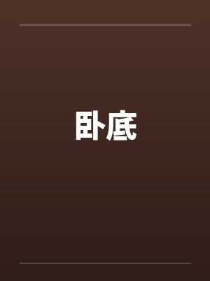 卧底 卧底