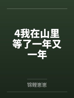 4我在山里等了一年又一年 4我在山里等了一年又一年